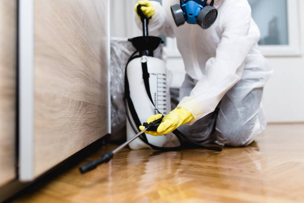 Best Pest Control for Restaurants  in St Michael, MN