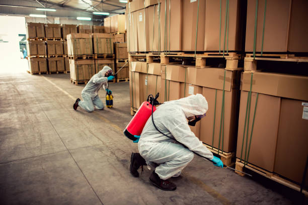 Best Affordable Pest Control Services  in St Michael, MN