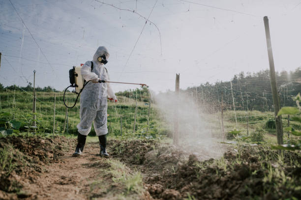 Best Pest Removal Services  in St Michael, MN