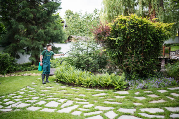Best Local Pest Control Services  in St Michael, MN