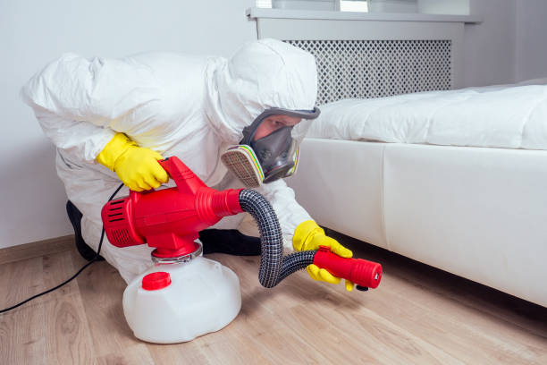 Best Pest Control Treatment  in St Michael, MN