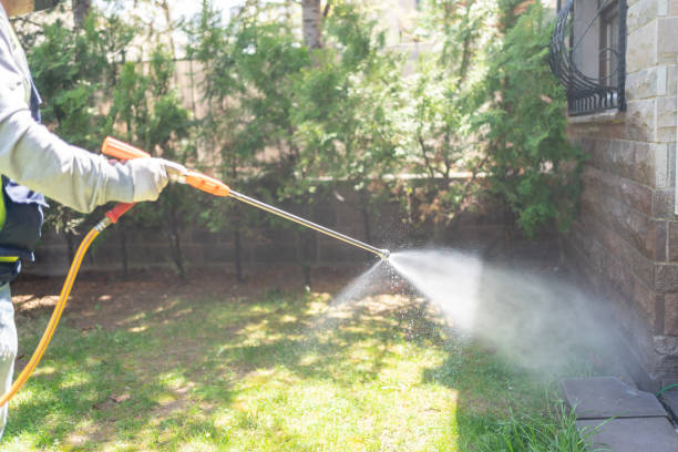 Best Termite Control Services  in St Michael, MN