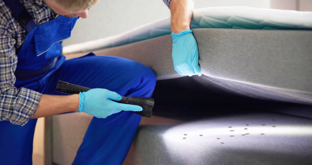 Best Mosquito Control Services  in St Michael, MN