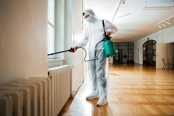 Best Flea Control Services  in St Michael, MN